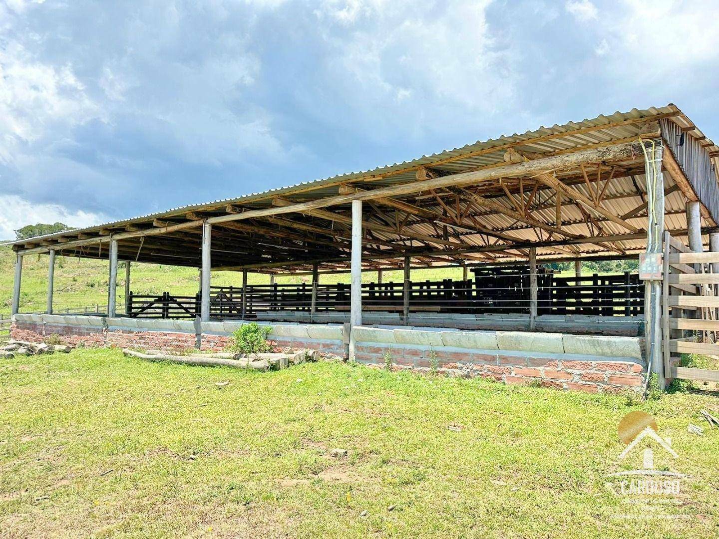 Fazenda à venda com 3 quartos, 1065000M2 - Foto 9