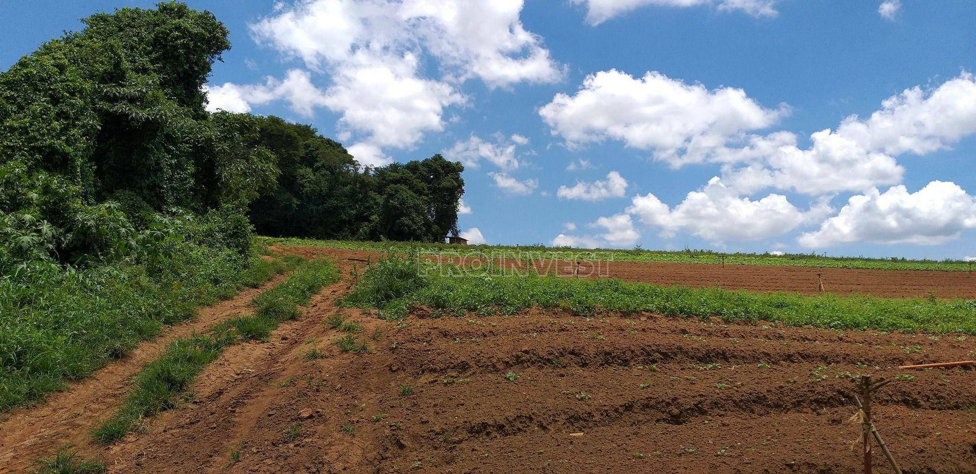 Terreno à venda, 822000M2 - Foto 14