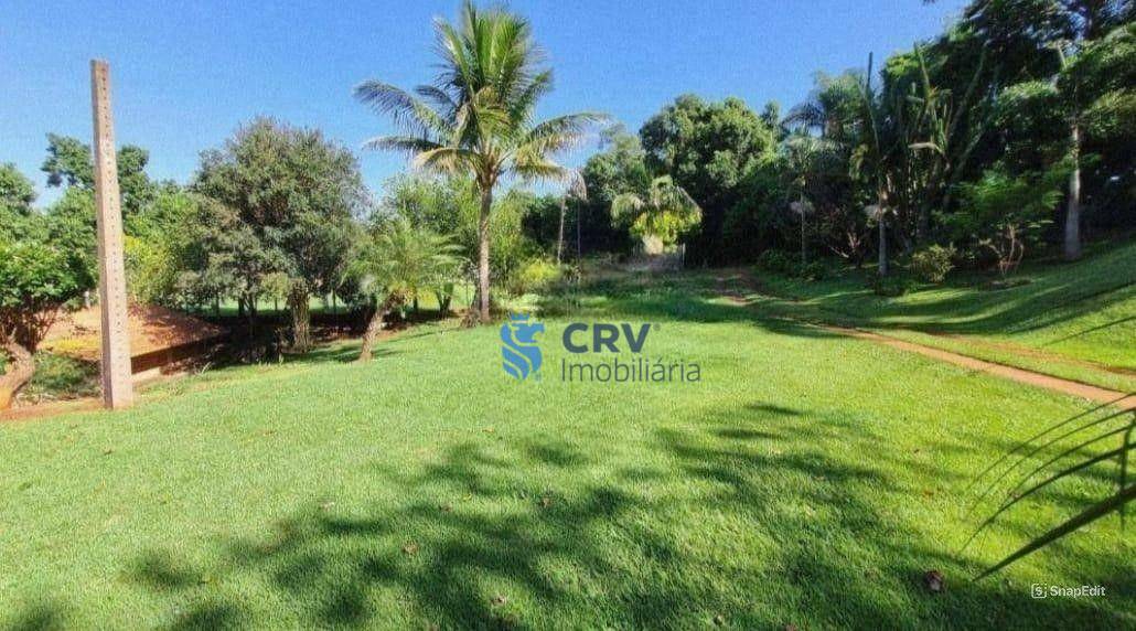 Chácara, 4 quartos, 3 hectares - Foto 15