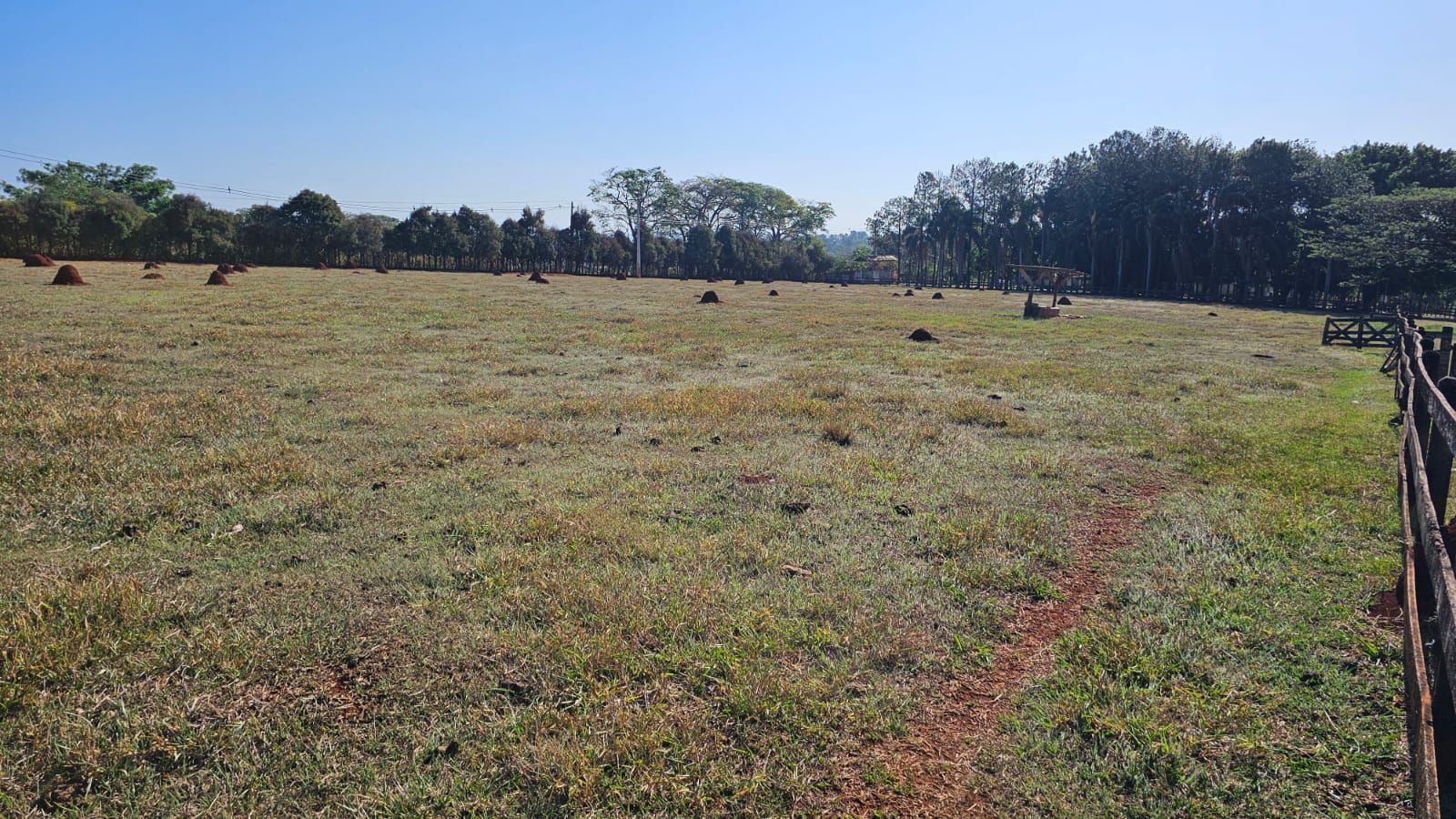 Haras e Área Rural Padrão à venda com 3 quartos, 96800M2 - Foto 20