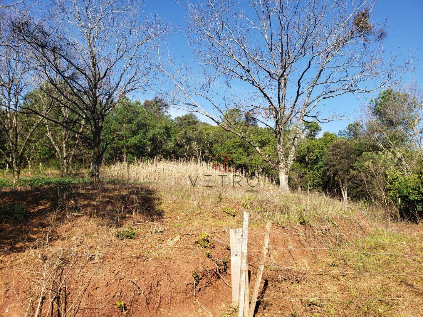 Sítio à venda com 4 quartos, 90650M2 - Foto 17