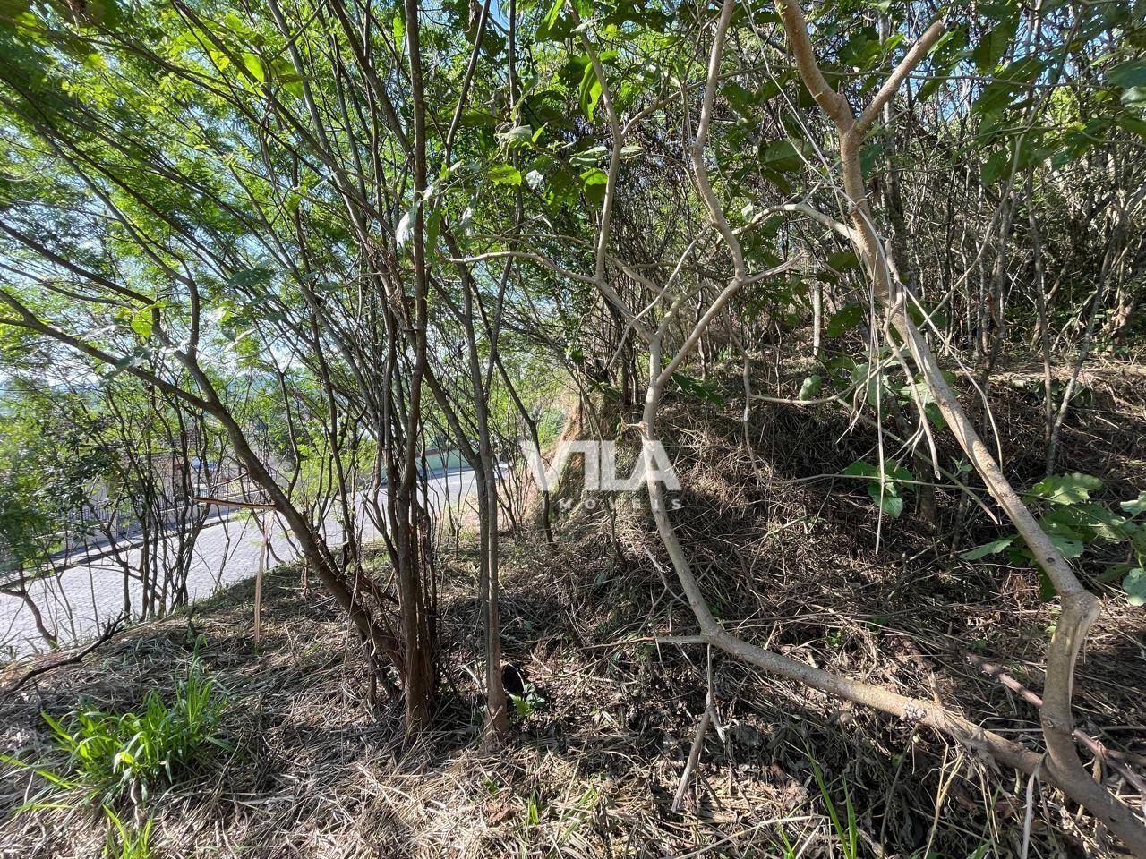 Terreno, 1691 m² - Foto 4