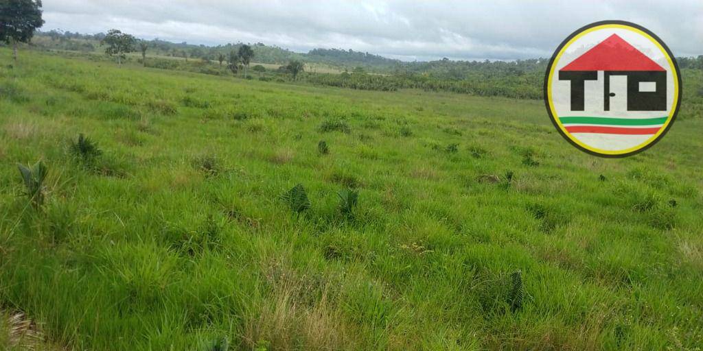 Fazenda à venda, 1452000M2 - Foto 6