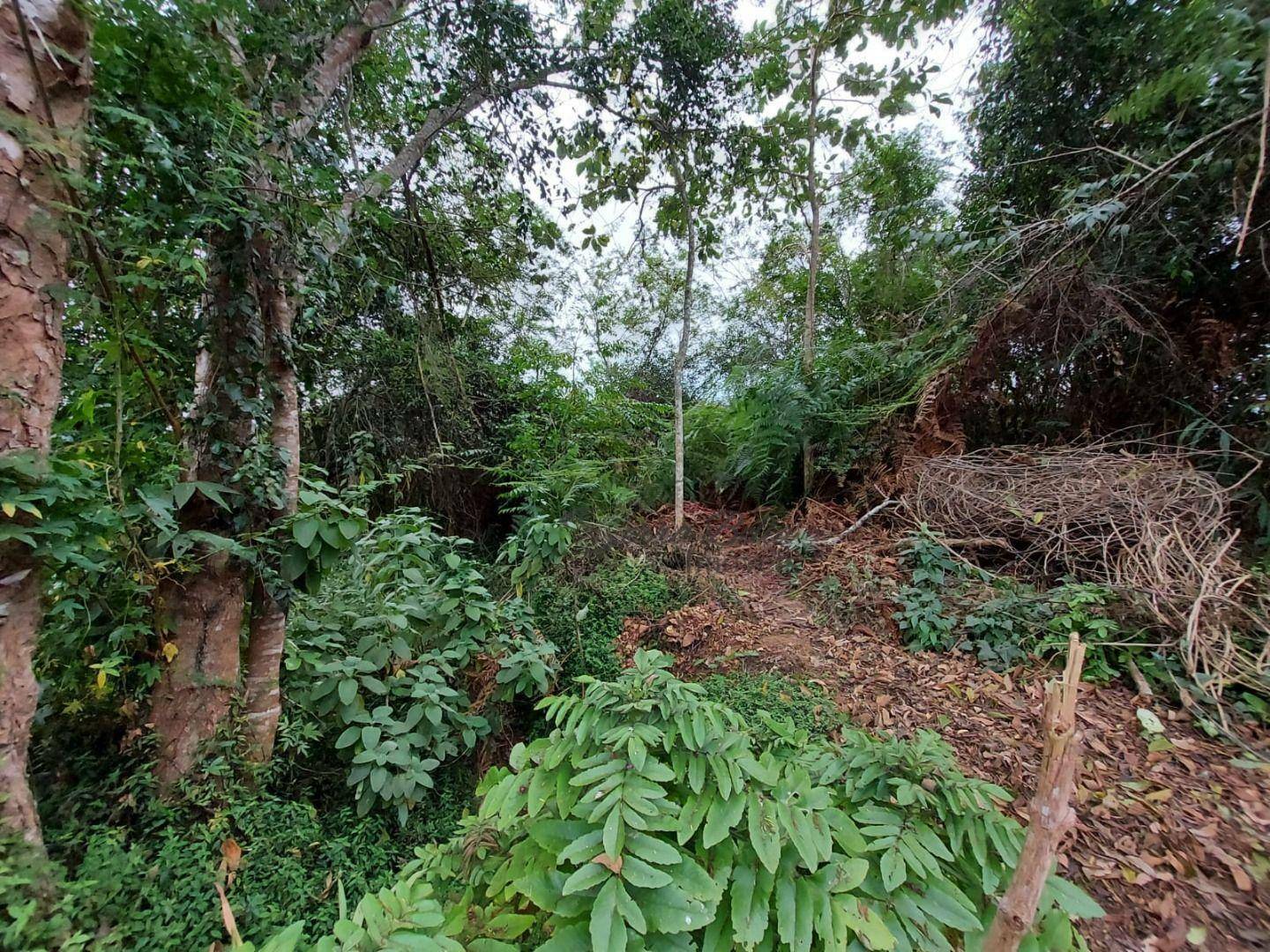 Loteamento e Condomínio à venda, 825M2 - Foto 2