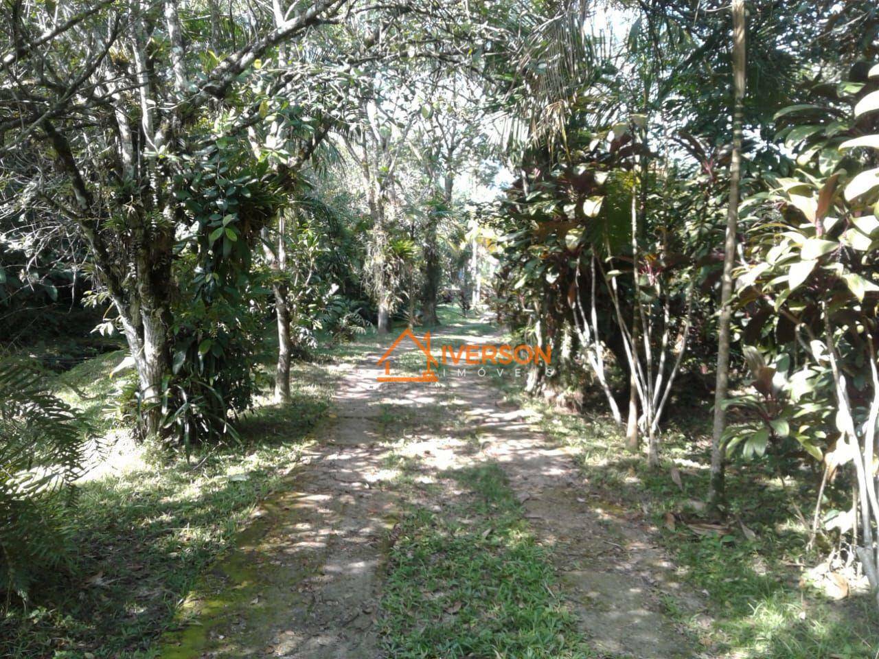 Sítio à venda com 3 quartos, 300m² - Foto 25