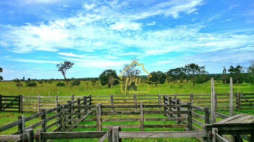 Fazenda à venda com 3 quartos, 250m² - Foto 15