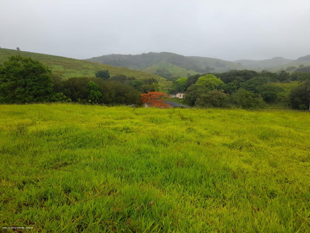 Fazenda à venda com 2 quartos, 61000m² - Foto 26