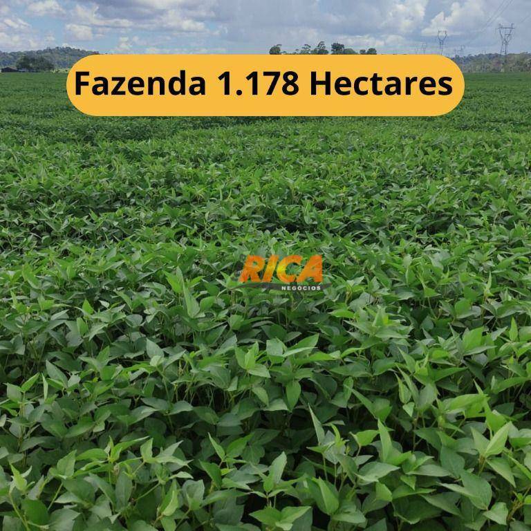 Fazenda-Sítio-Chácara, 1178 hectares - Foto 1