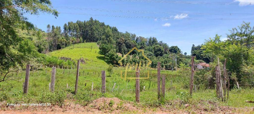 Fazenda à venda com 5 quartos, 1000m² - Foto 12