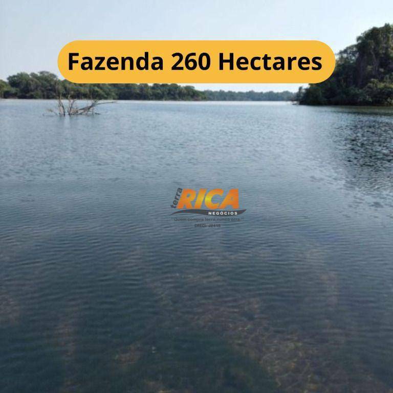 Fazenda-Sítio-Chácara, 260 hectares - Foto 1