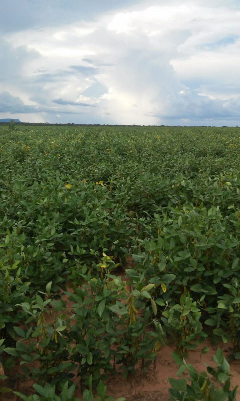 Fazenda à venda, 529m² - Foto 2