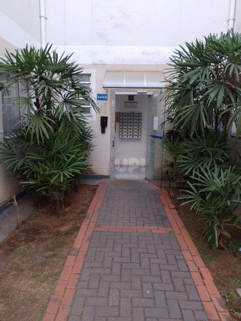 Apartamento à venda com 2 quartos, 46m² - Foto 17
