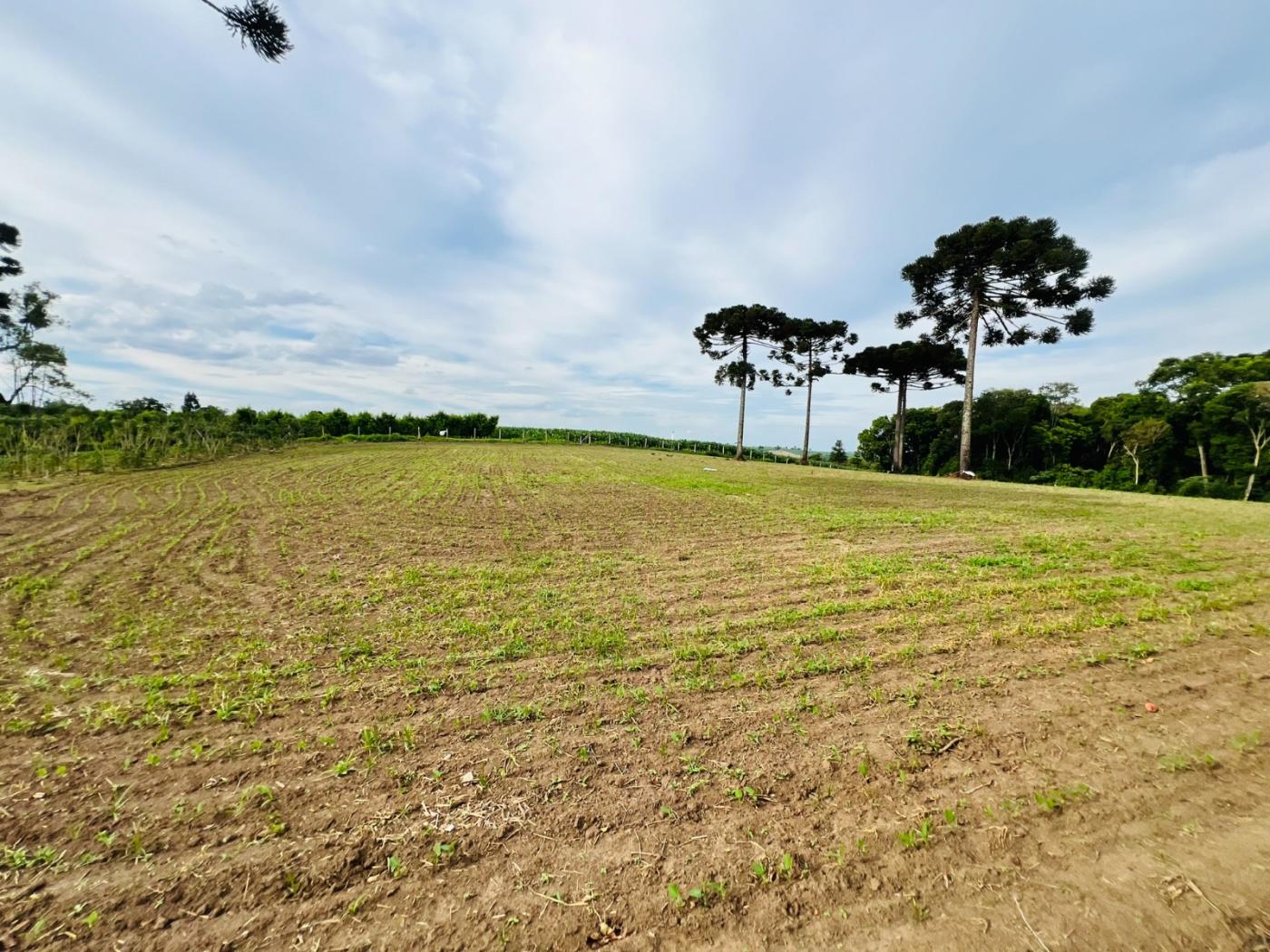 Chácara à venda, 28000m² - Foto 59