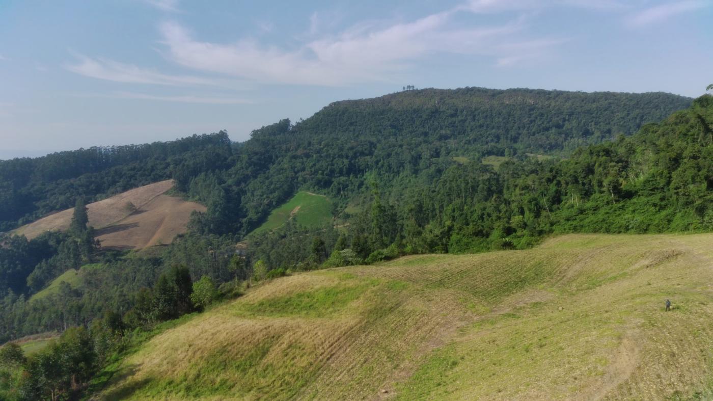 Sítio à venda, 198000m² - Foto 13