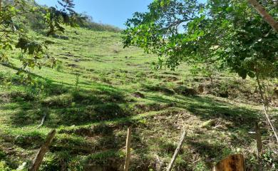 Fazenda à venda com 3 quartos, 200000m² - Foto 12