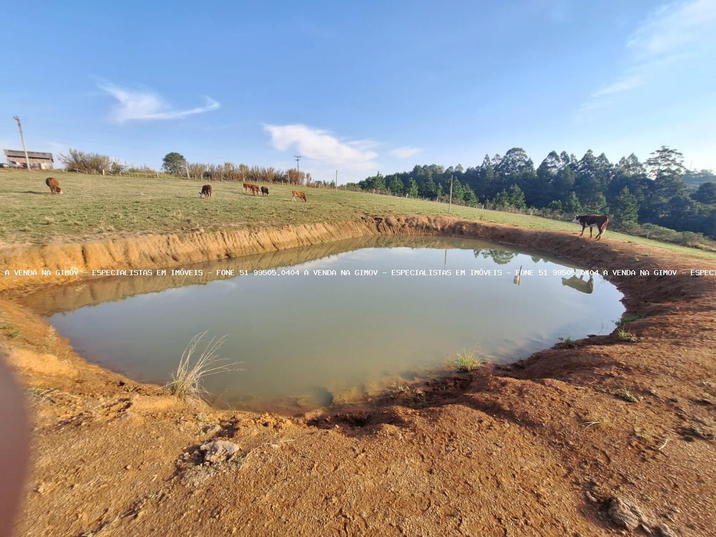 Fazenda à venda com 4 quartos, 80000m² - Foto 30