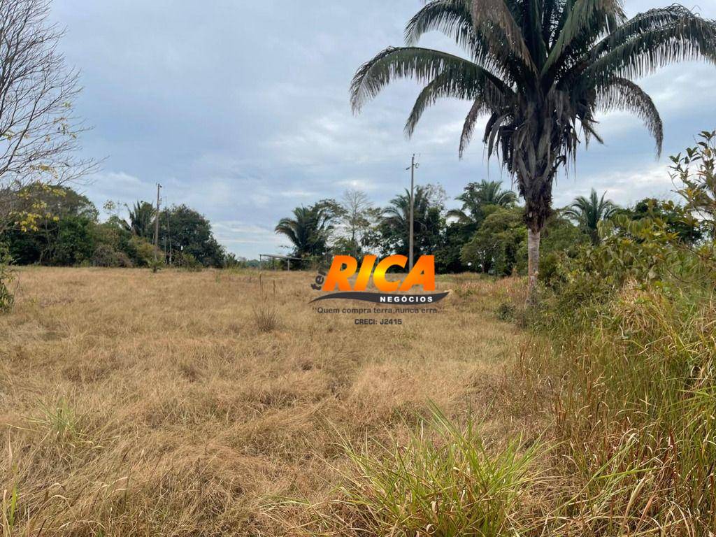 Sítio, 12 hectares - Foto 3