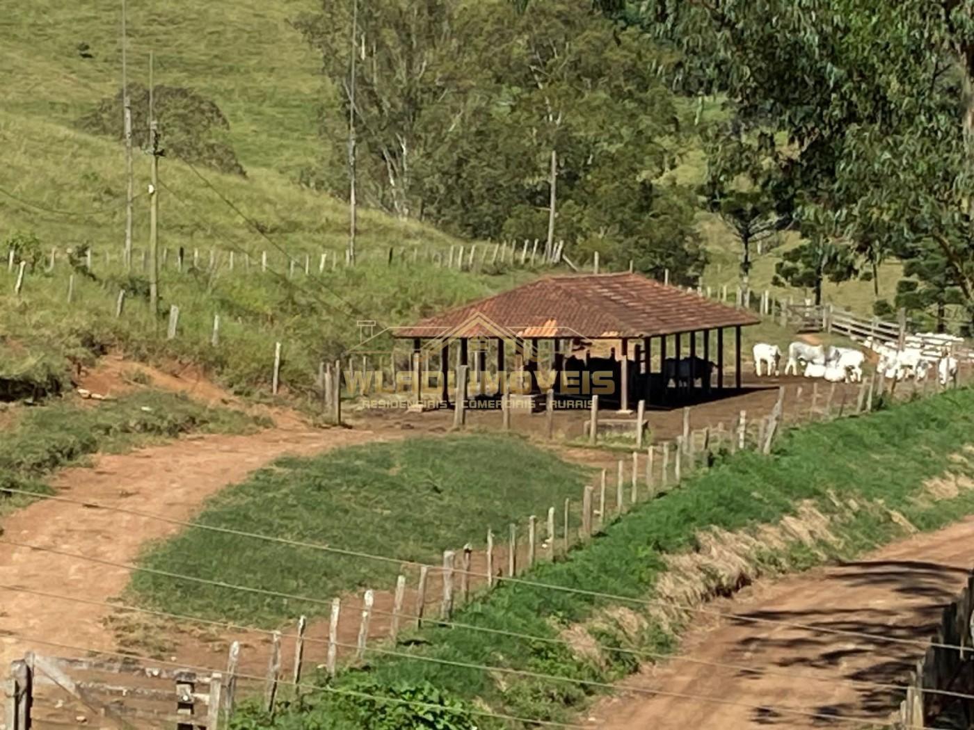 Fazenda à venda, 100m² - Foto 44