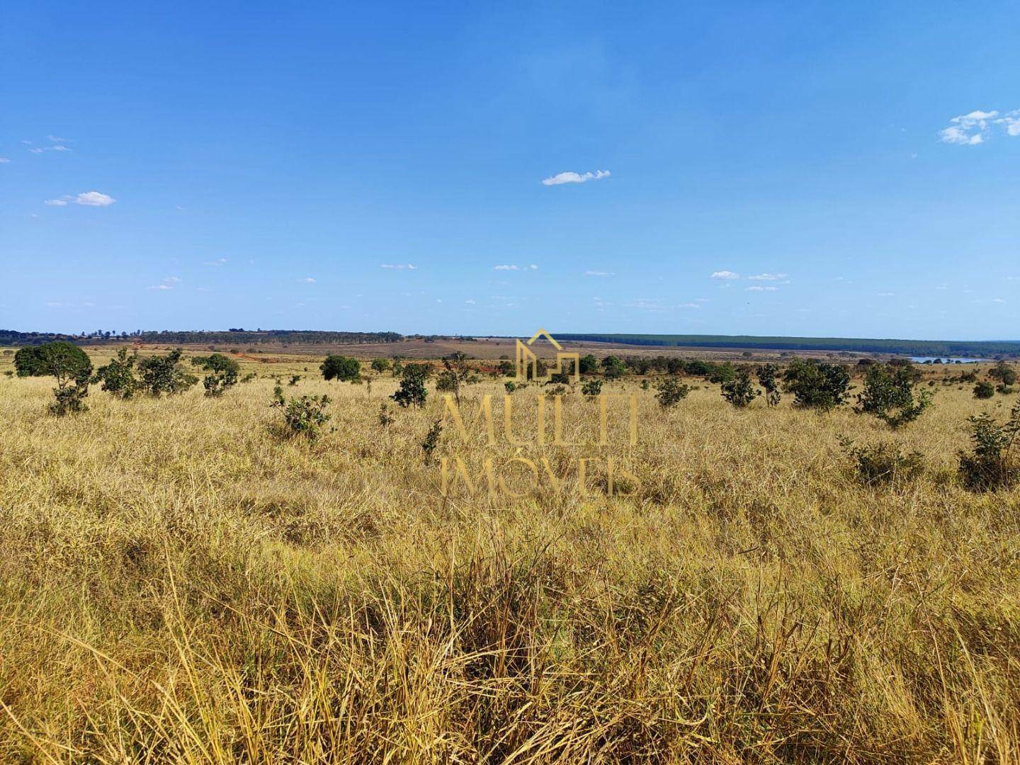 Fazenda à venda, 2976600M2 - Foto 15