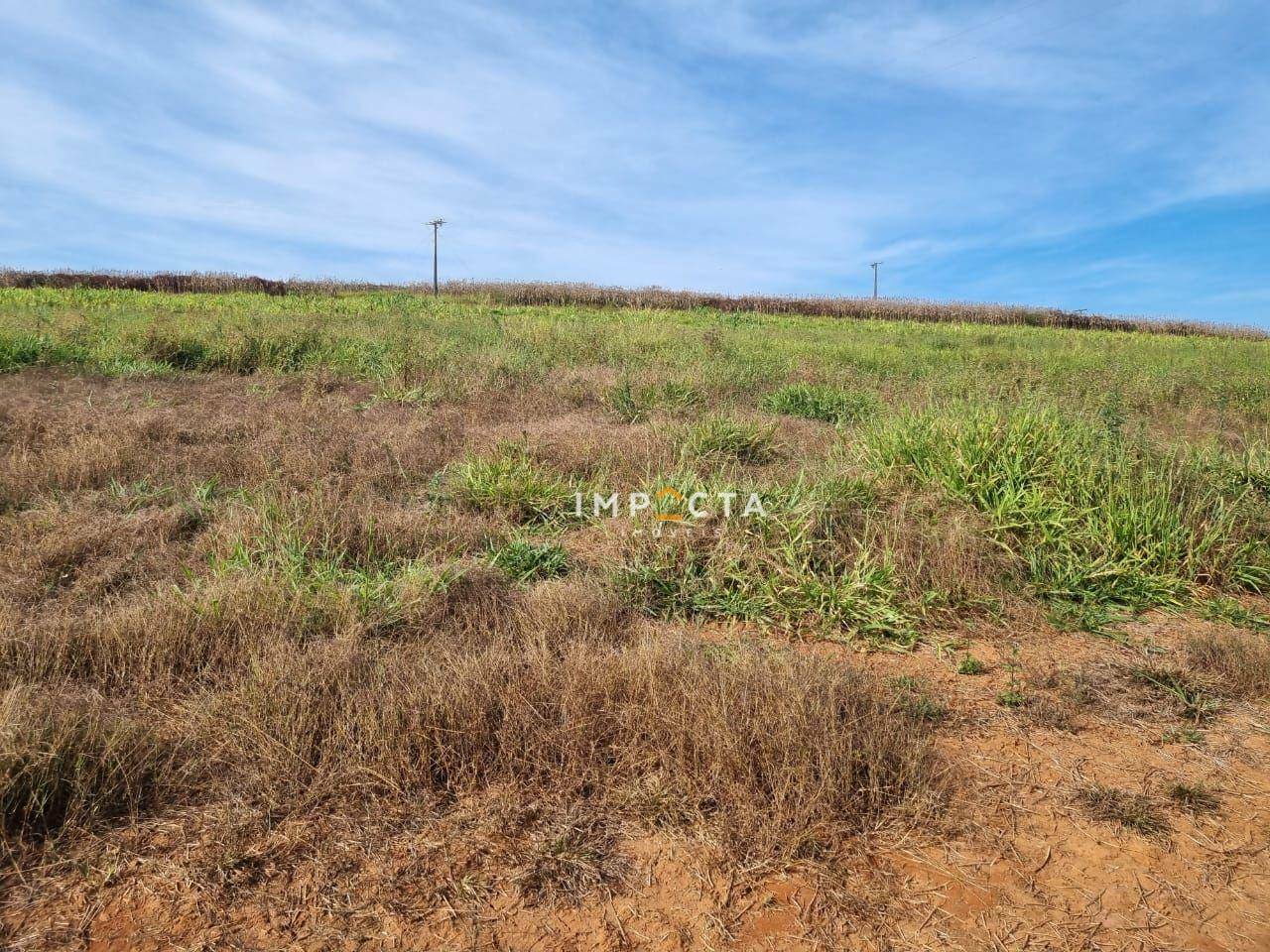 Terreno à venda, 1597200M2 - Foto 7