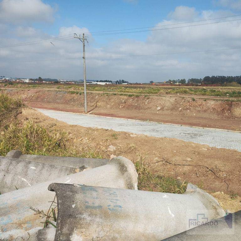 Terreno, 2 hectares - Foto 4