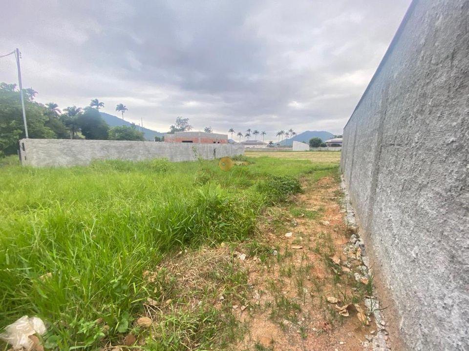 Terreno à venda com 1 quarto, 380m² - Foto 6