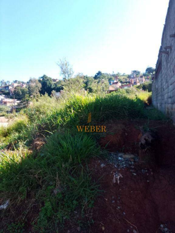 Terreno à venda, 292M2 - Foto 4