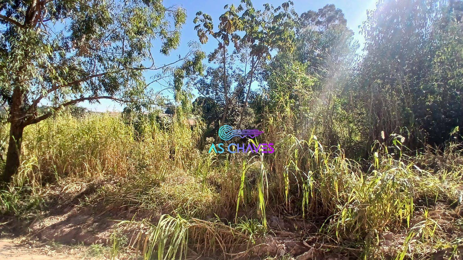 Terreno, 353 m² - Foto 4