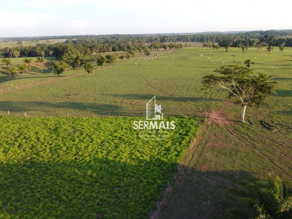 Fazenda-Sítio-Chácara, 97 hectares - Foto 4