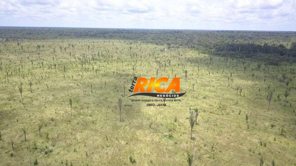 Fazenda, 300 hectares - Foto 2