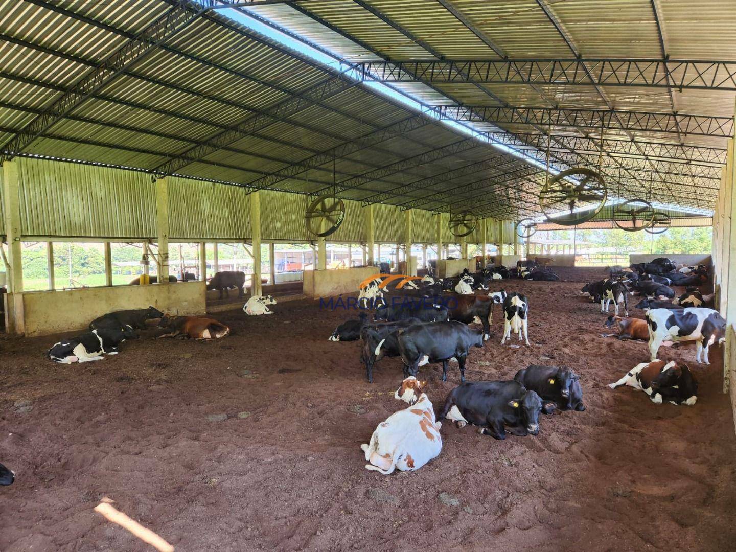 Fazenda à venda, 2105400M2 - Foto 1