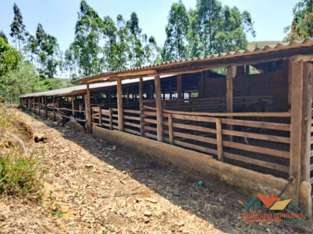 Fazenda à venda, 100m² - Foto 10