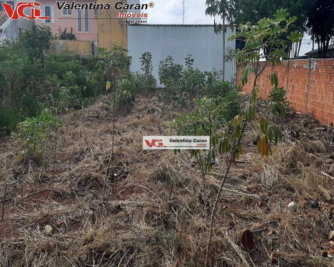 Terreno à venda, 342M2 - Foto 4