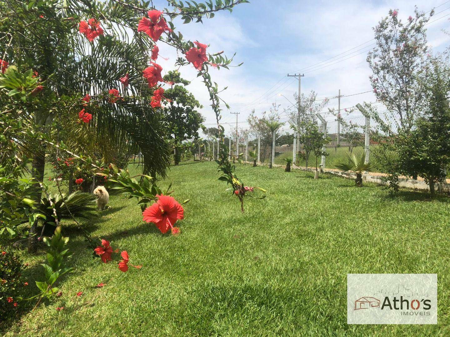 Chácara à venda com 3 quartos, 2800M2 - Foto 27