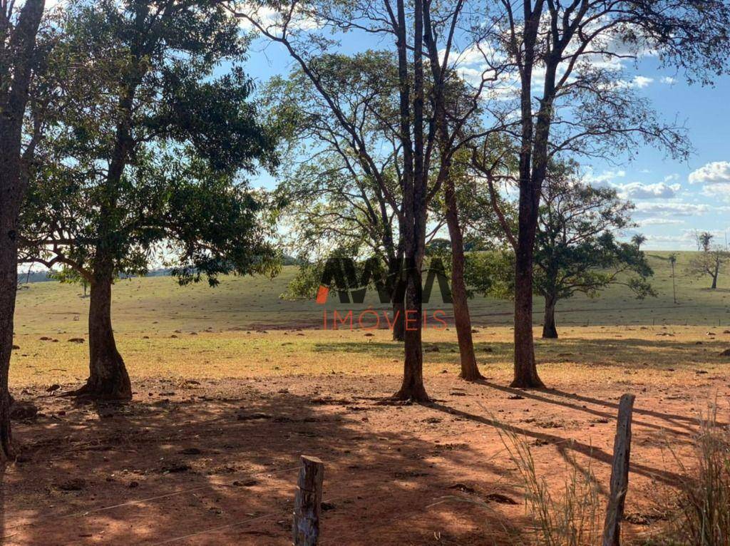 Fazenda à venda, 12100000M2 - Foto 8