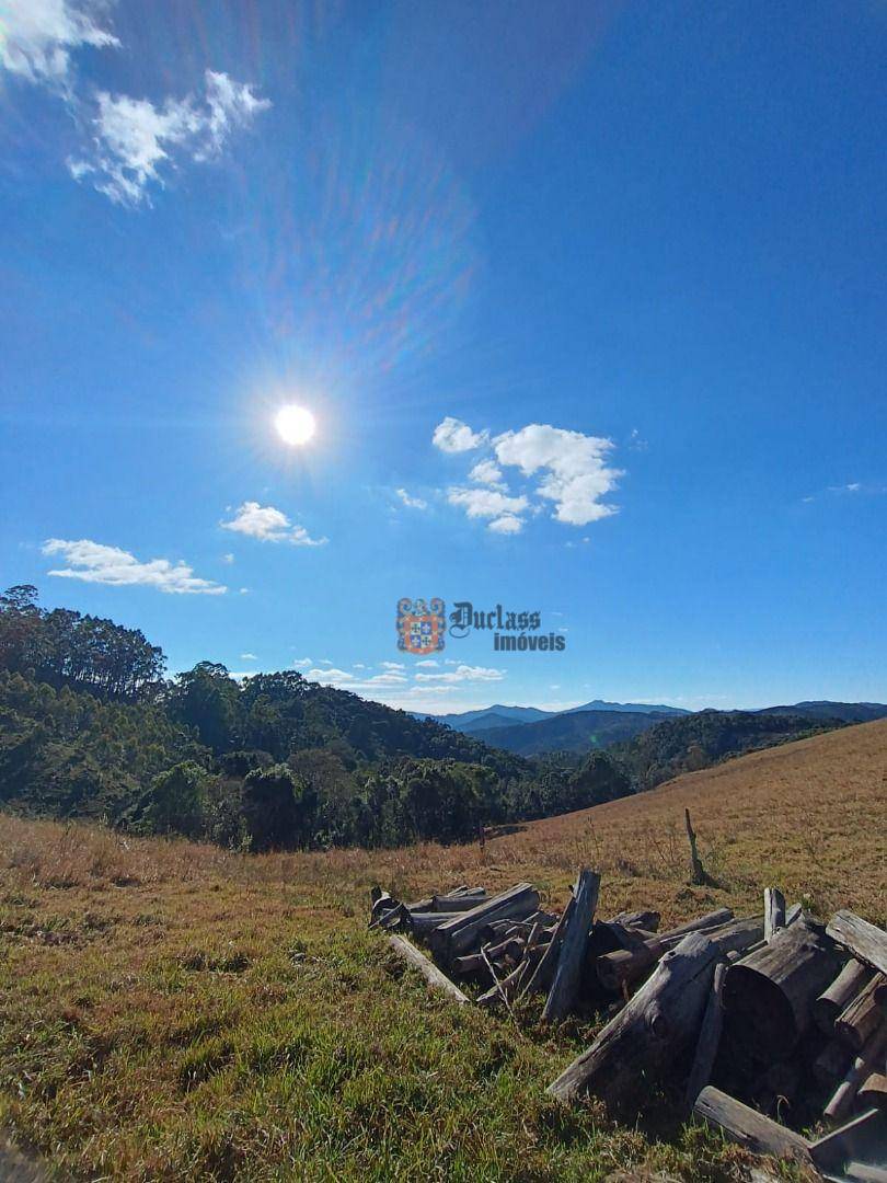 Terreno, 15 hectares - Foto 14