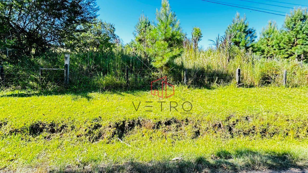 Sítio, 2 hectares - Foto 12