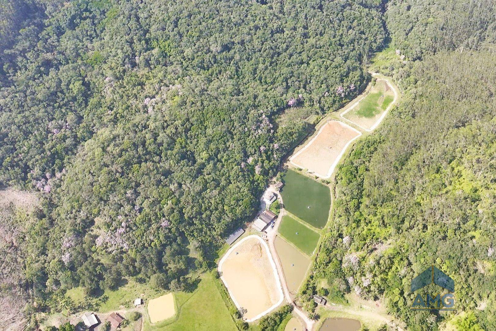 Sítio, 3 quartos, 43 hectares - Foto 4