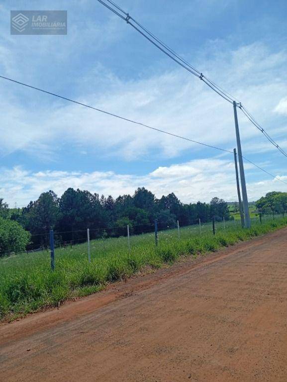 Terreno, 4 hectares - Foto 5