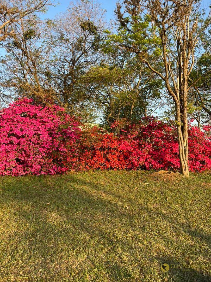 Loteamento e Condomínio, 2000 m² - Foto 2