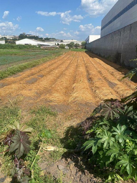 Terreno à venda, 12000M2 - Foto 3