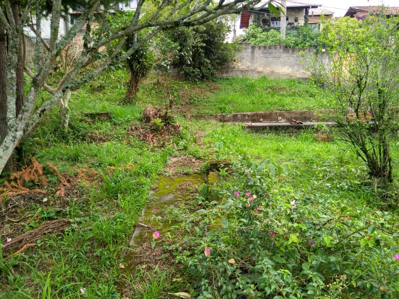 Terreno à venda, 800 - Foto 1