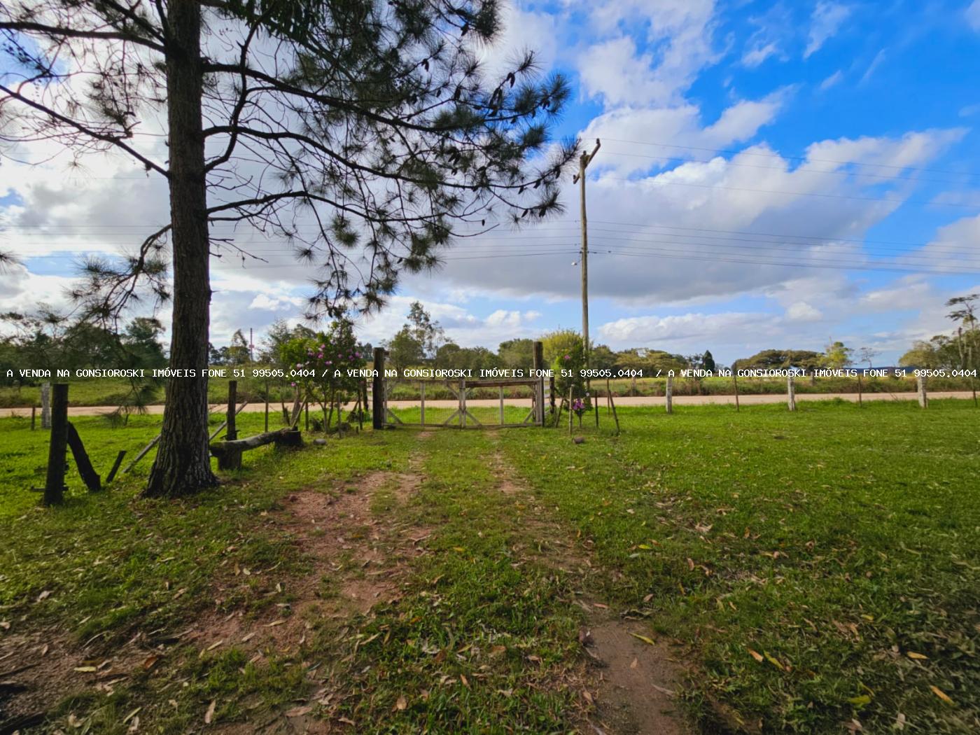 Sítio à venda, 30000m² - Foto 35