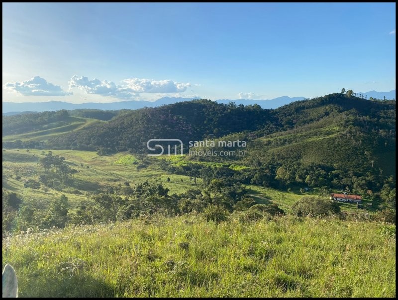 Fazenda à venda com 3 quartos, 24m² - Foto 51