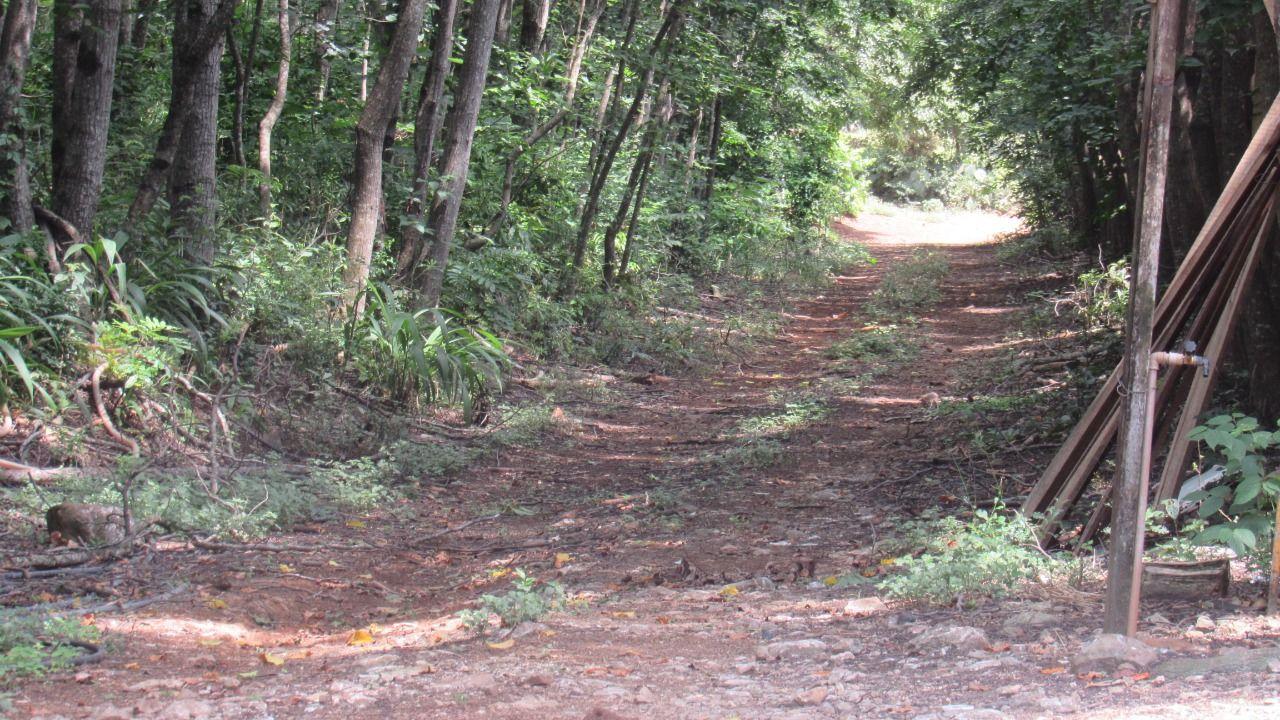 Loteamento e Condomínio à venda, 40000m² - Foto 28