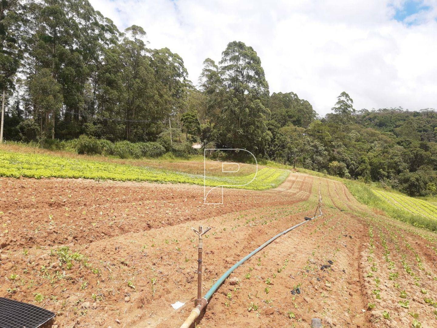 Terreno à venda, 39000M2 - Foto 12