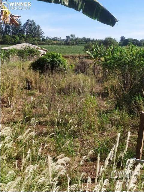 Chácara à venda com 1 quarto, 2500M2 - Foto 3