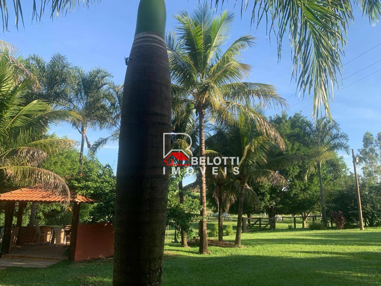 Fazenda à venda com 2 quartos, 31460M2 - Foto 6