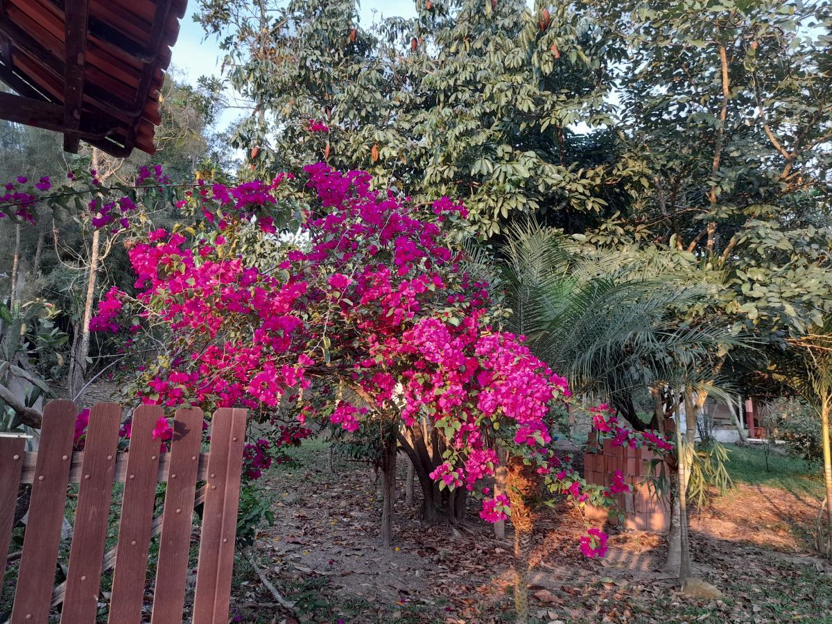 Fazenda à venda com 2 quartos, 5000m² - Foto 22