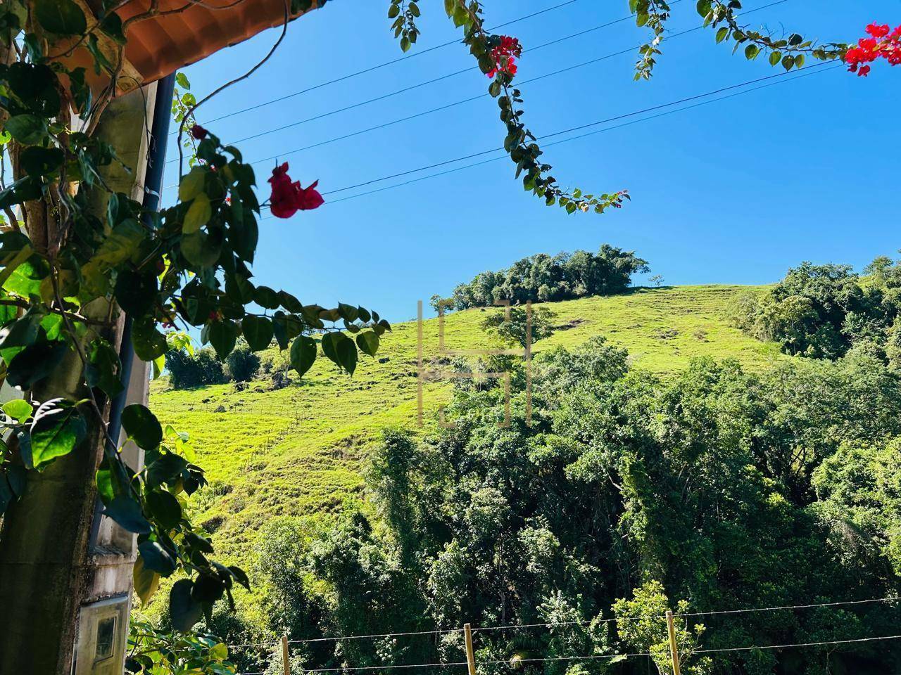 Terreno à venda, 12000M2 - Foto 22